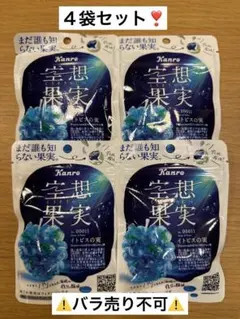 【グミ】カンロ 空想果実 イトピスの実 4袋セットのサムネイル