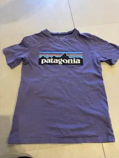 パタゴニアTシャツ（12）