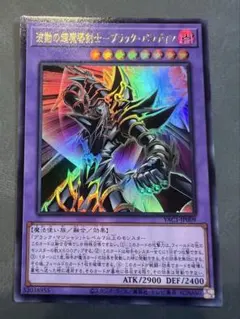 遊戯王カード ブラックパラディン ウルトラレア