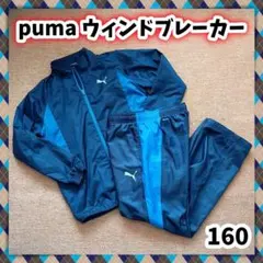 puma プーマ ウィンドブレーカー 160 S 上下 セットアップ ジャージ