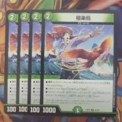 2026年最新】極楽鳥 旧枠の人気アイテム - メルカリ