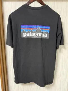 ラ*キ様 パタゴニア patagonia 半袖Tシャツ XL 黒