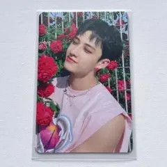 straykids maxident トレカ バンチャン bdm 特典