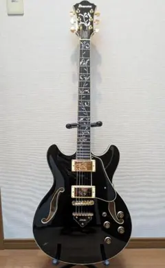 2025年最新】Ibanez カラー：ブラック系 エレキギターの人気アイテム