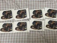 オモト＊プロフ読んで頂けると幸いです様 リクエスト 2点 まとめ商品