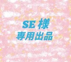 SE様 リクエスト8点 まとめ商品