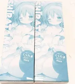 しらたま 描き下ろしタペストリー 2026春 電撃おとなの萌王付録　2個セット