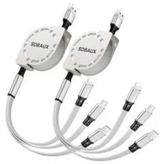 USB A to 3in1 充電ケーブル 巻き取り1m タイプC [2本セット]