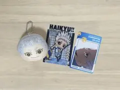 ハイキュー!! 星海光来