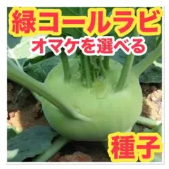ピノピノ様 リクエスト 3点 まとめ商品