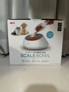 Item thumbnail for item 1d87aac3-8aa9-4390-bc41-29b116c8ff8a