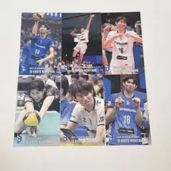 【大阪ブルテオン】 西山大翔 トレカ