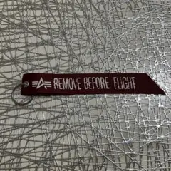 ALPHA REMOVE BEFORE FLIGHT キーホルダー