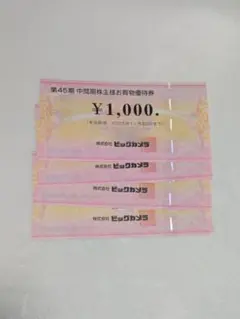 【匿名配送】ビックカメラ 株主優待券 4,000円分