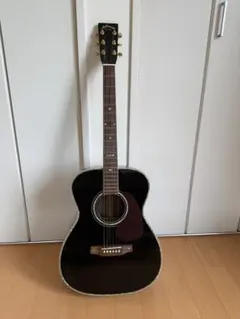Aria Dreadnought AF-60 Limited Black - メルカリ
