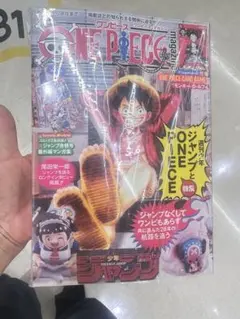 ONE PIECE magazine Vol.18