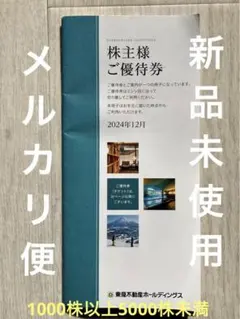 東急不動産ホールディングス 株主優待券冊子 1000～5000株未満