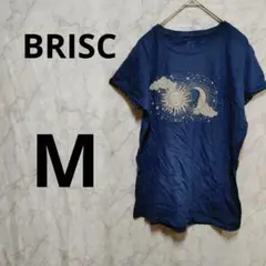 Item thumbnail for item 6da657bb-357d-4736-bf51-b061bacdfcef