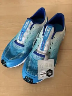 Item thumbnail for item 9fd26af4-13a8-4cb0-a01f-a72c969c70f0