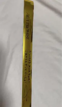 TXT トゥバ　銀テ　金テ　サイン　actpromise 落下物　ドーム