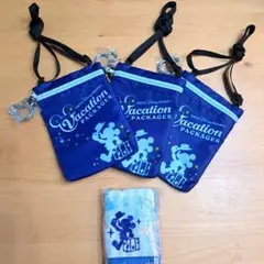 ディズニー バケーションパッケージ ショルダーバッグ タオルセット