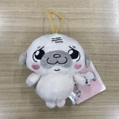 パグのもったん マスコット