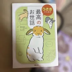 うさぎのための最高のお世話