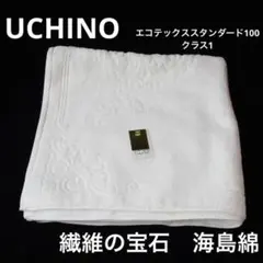 ウチノ 繊維の宝石海島綿 ピアレス バスタオル 9210b018のサムネイル