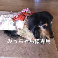 みっちゃん様　専用