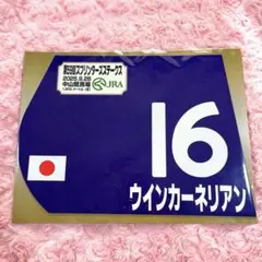 競馬 2025 スプリンターズS 優勝 ミニゼッケン ウインカーネリアン 三浦