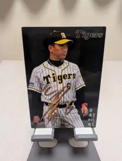 阪神タイガース 金本知憲 4.9世界記録達成記念日限定クリアファイル