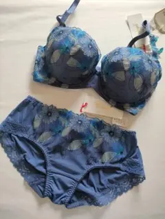 D70トリンプ プレミアムデザイン　ブラ&ショーツセット