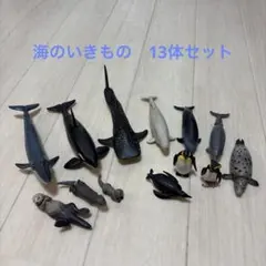 アニア　海の生き物　13体セットのサムネイル