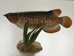 AROWANIA アロワニア 16冊セットまとめ売り アロワナ AROWANIA アロワニア 16冊セットまとめ売り アロワナ