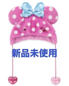 ミニーパルパルーザ　ミニー　ファンダーランド　ファンキャップ