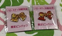 レア　ハローキティ 30周年 記念品 マスコット キーホルダー ピンバッチ