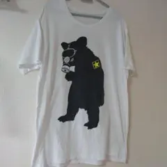 Item thumbnail for item 8d4f55c2-51f1-45cc-8901-5257dfaac4e0