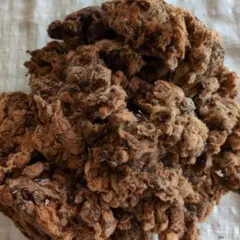 Item thumbnail for item d8f1544a-bbf5-42ff-8d58-ca0f1eca58f1