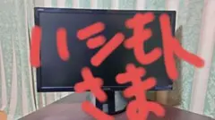 【ハシモト様】ASUS VE248HR