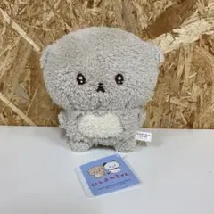 いしよわちゃん ぬいぐるみ