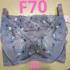 アモスタイル F70 チャーミングラマースリムラインDeepV ブラショーツ