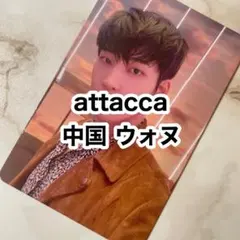 seventeen attacca 中国 ヨントン トレカ ウォヌ