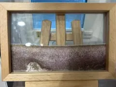 正規品 KB collection サンドピクチャー　ピンク　ゴールド