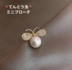 てんとう虫 ブローチ 幸せの象徴 幸運を運ぶ ミニサイズ 縁起物 可愛い