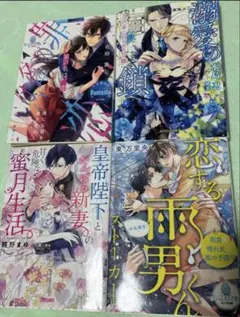 TLティーンズラブ ライトノベル まとめ売り②