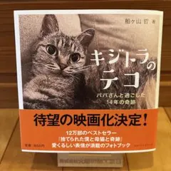 キジトラのテコ