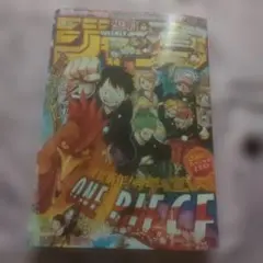 週刊少年ジャンプ 2007年 22・23合併号 週刊少年ジャンプ 2007年22・23合併号 - メルカリ