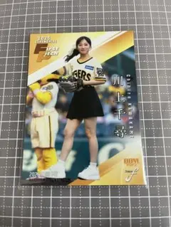 Item thumbnail for item c55ba76a-da59-48b1-bca9-9949ea833193