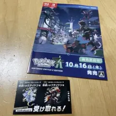 ポケモン 色違い ミライドン コライドン　シリアルコード 、パンフレット