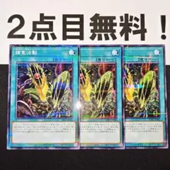 なおなお様 リクエスト 2点 まとめ商品